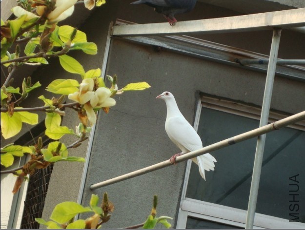 ͼƬ20140410134430.jpg