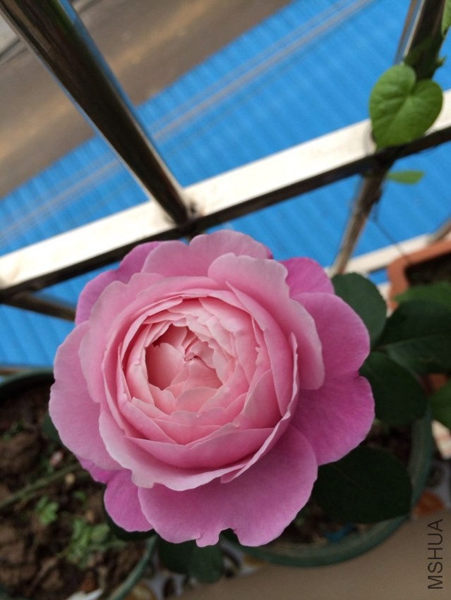 psb (8).jpg