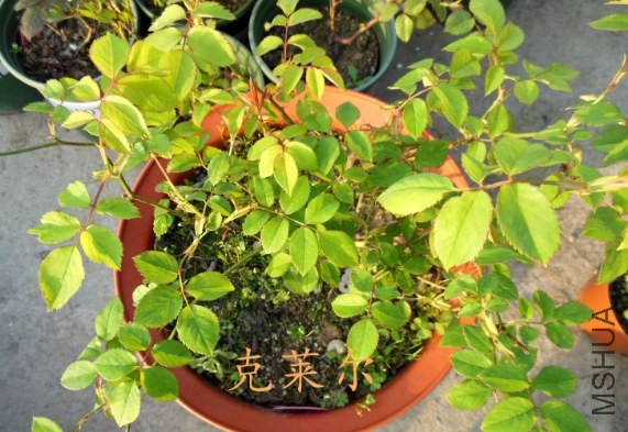 QQ��ͼ20140410171157.jpg