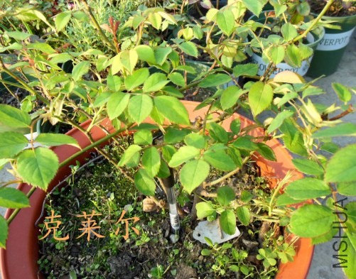 QQ��ͼ20140410171244.jpg