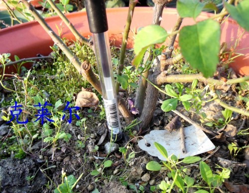 QQ��ͼ20140410171346.jpg