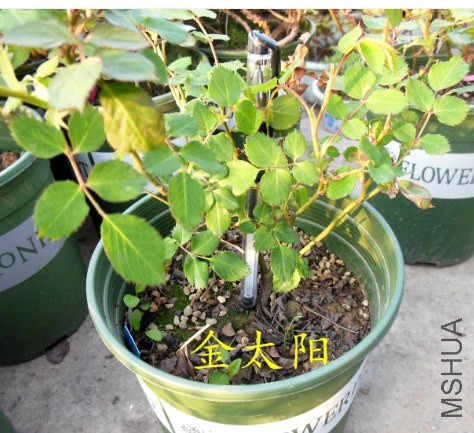 QQ��ͼ20140410171534.jpg