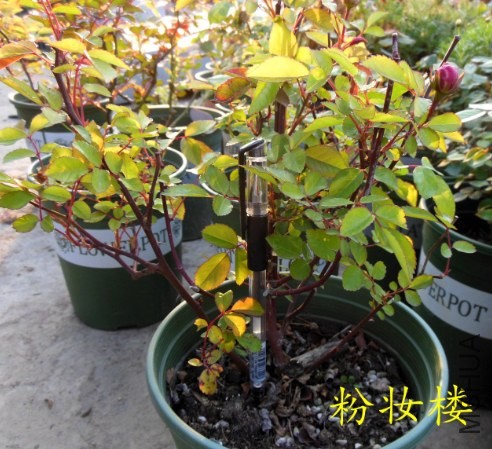 QQ��ͼ20140410171600.jpg