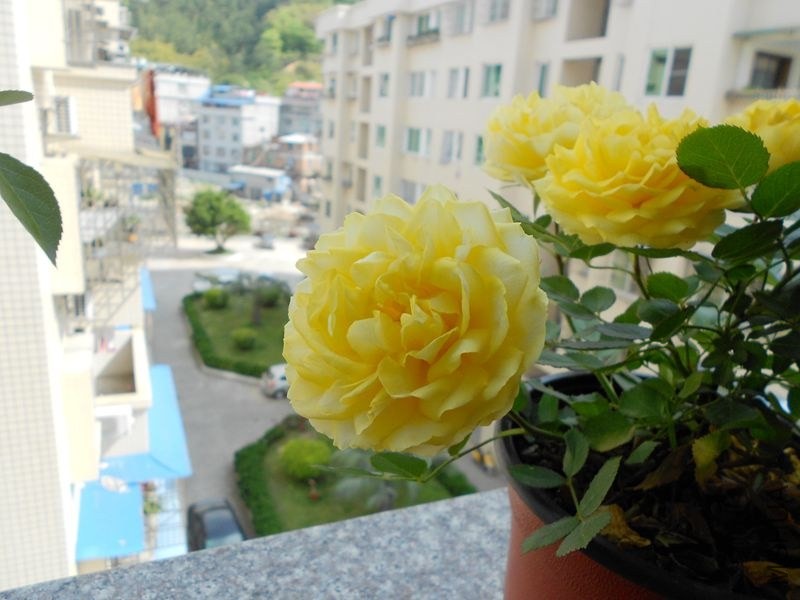 DSCN4783_����.jpg