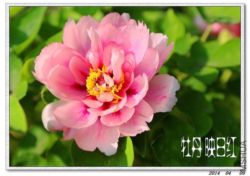 2014041001.jpg