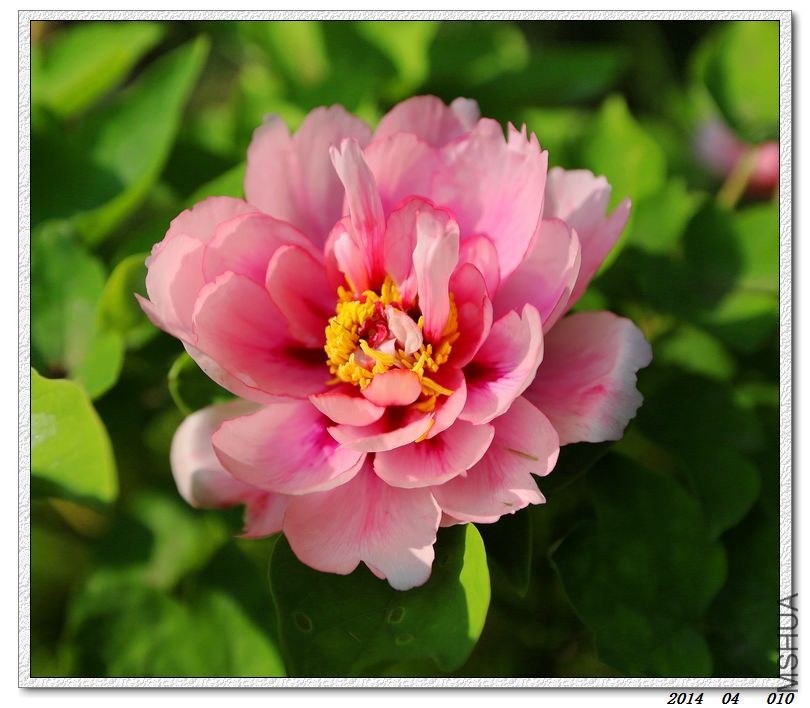 2014041007.jpg