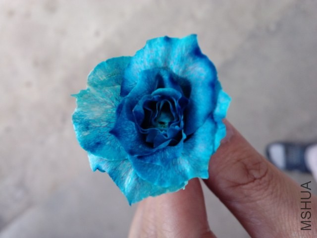 2014-04-10_08-13-04_877.jpg