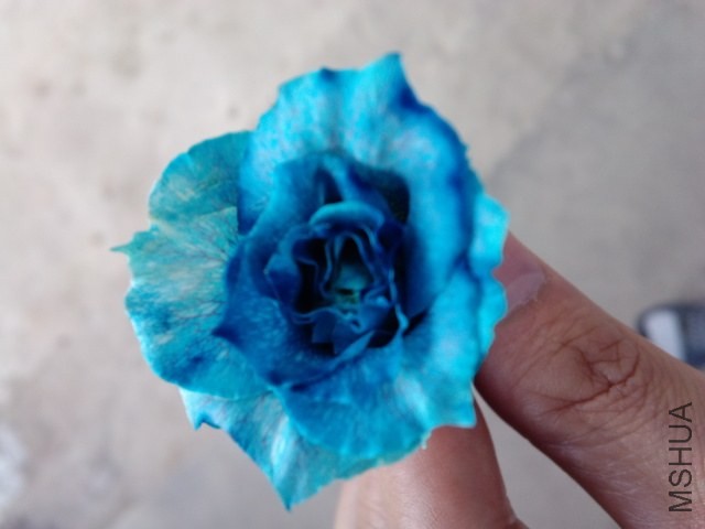 2014-04-10_08-13-20_90.jpg