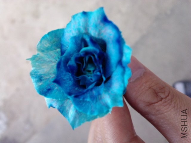 2014-04-10_08-13-23_437.jpg