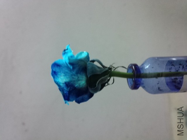 2014-04-10_21-02-43_884.jpg