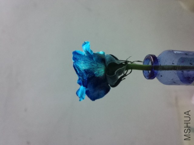 2014-04-10_21-02-37_975.jpg