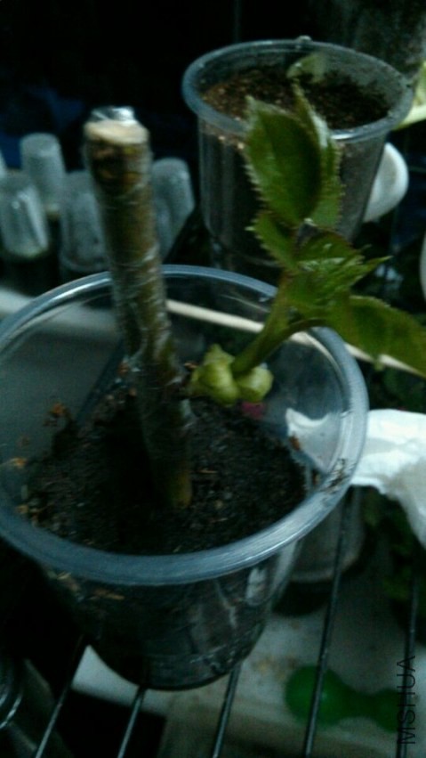 QQͼƬ20140410220458.jpg
