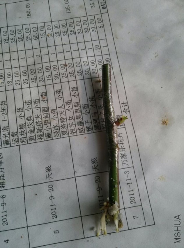QQͼƬ20140410220505.jpg