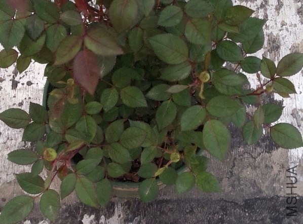 QQͼƬ20140410222750.jpg