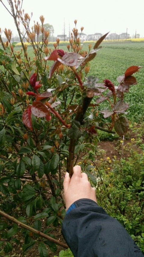 QQͼƬ20140410220945.jpg