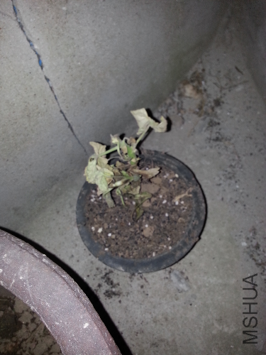 20140410_193659.jpg