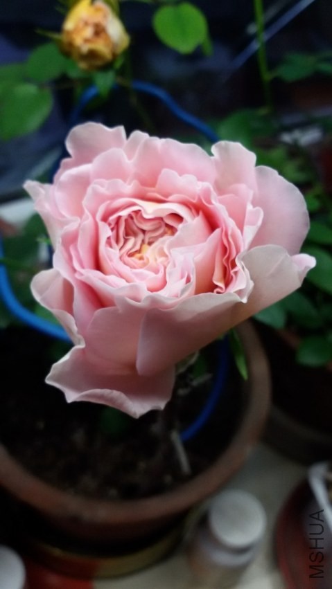 4-10��