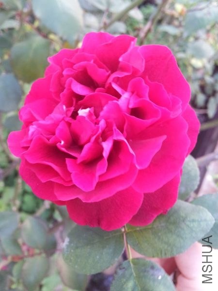 20140410_180710.jpg