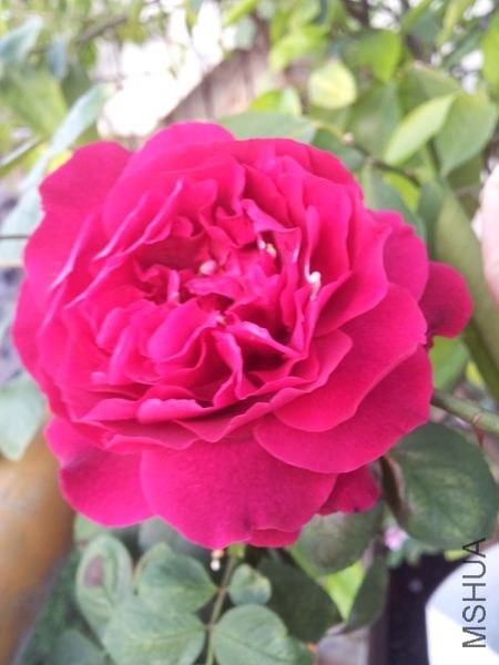 20140410_180724.jpg