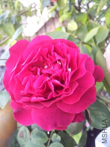 20140410_180729.jpg