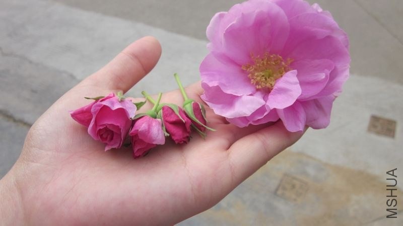 QQ��ͼ20140411091641.jpg