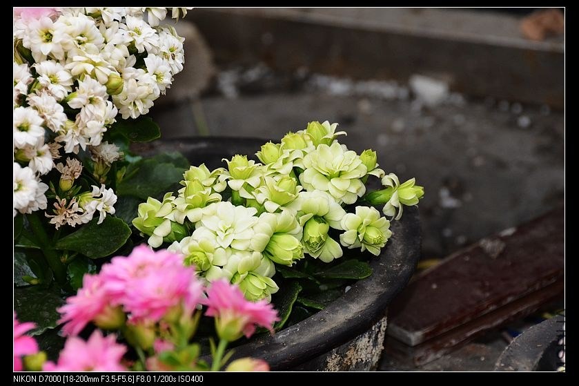 ���� (1).jpg