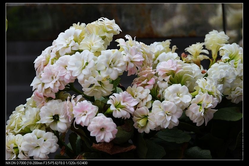 ���� (3).jpg