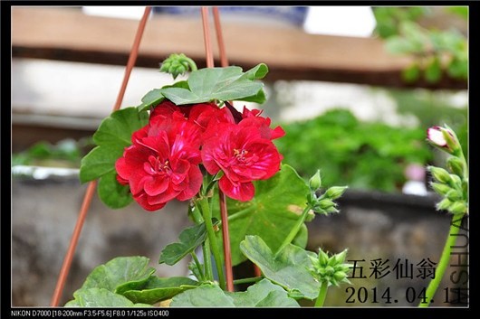 �ϼ��� (1).jpg