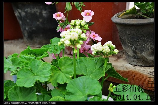 �ձ��� (1).jpg