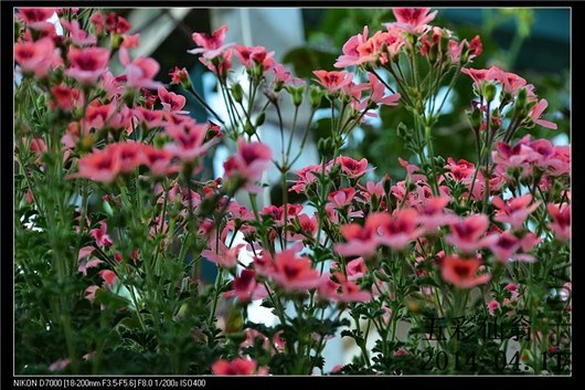 ����ʹ (1).jpg