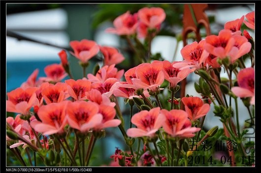 ����ʹ (3).jpg