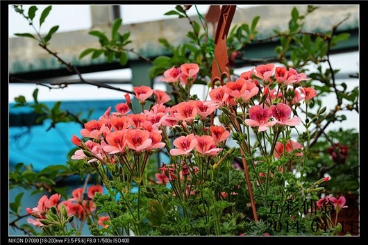 ����ʹ (4).jpg