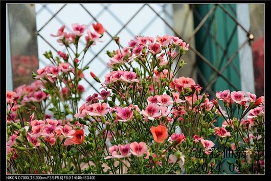 ����ʹ (7).jpg