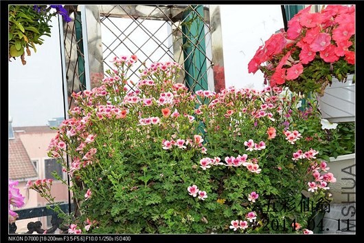 ����ʹ (8).jpg