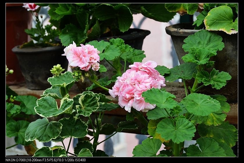 ���ӷ� (2).jpg