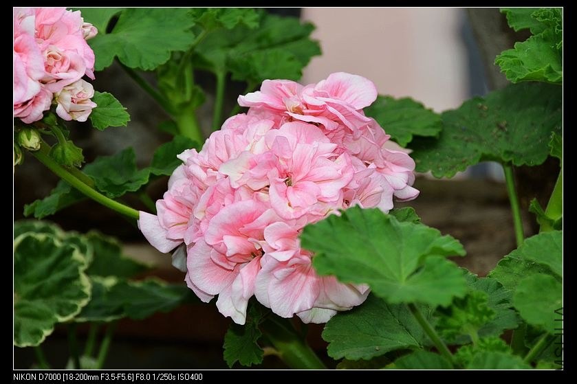 ���ӷ� (1).jpg