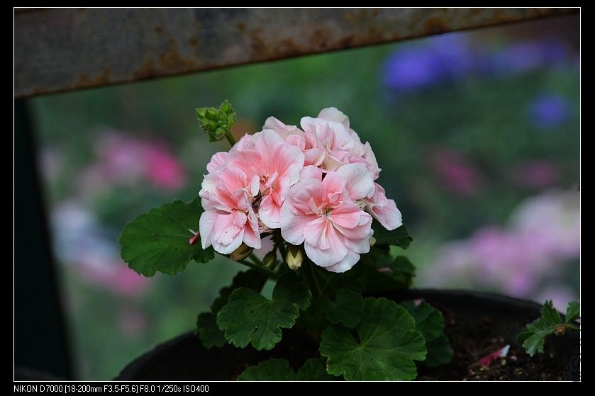 ���ӷ� (3).jpg