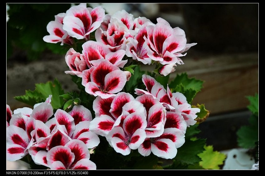 �����Ͷ��� (2).jpg