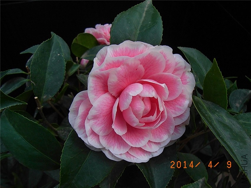 �۵�