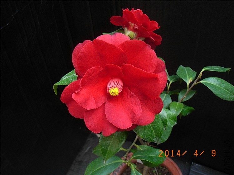 RIMG0023.JPG