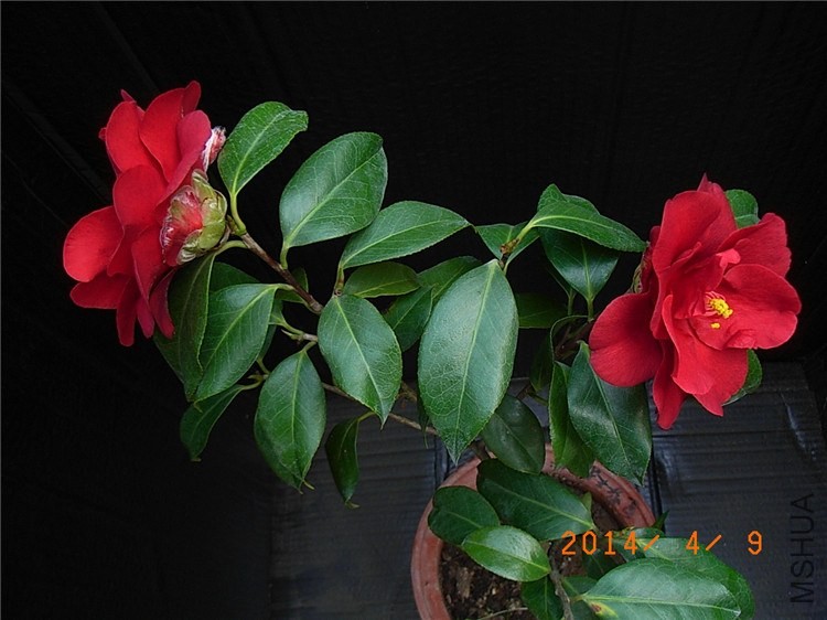 RIMG0040.JPG