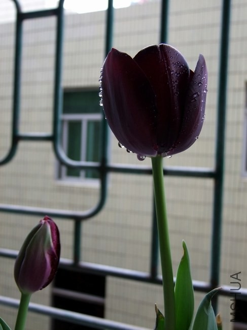 DSCF0399.JPG