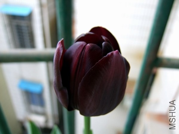 DSCF0330.JPG