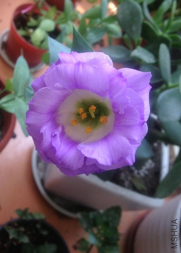 ����ȥ��Ŀ�����