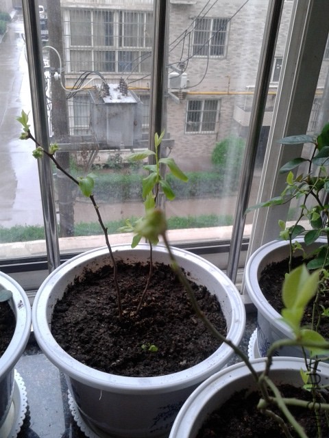 20140411_145334.jpg