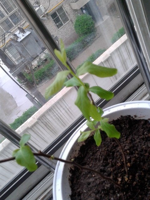 20140411_145340.jpg