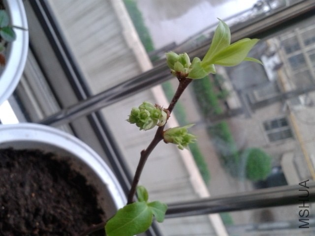20140411_145347.jpg