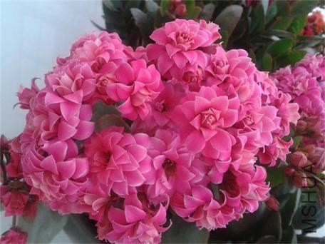 2014-02-04 07.51.45.jpg