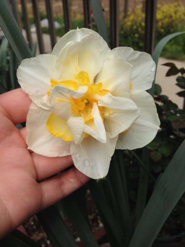 ��Ƭ 753_720x960.jpg