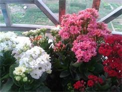 2014-02-04 08.01.34.jpg